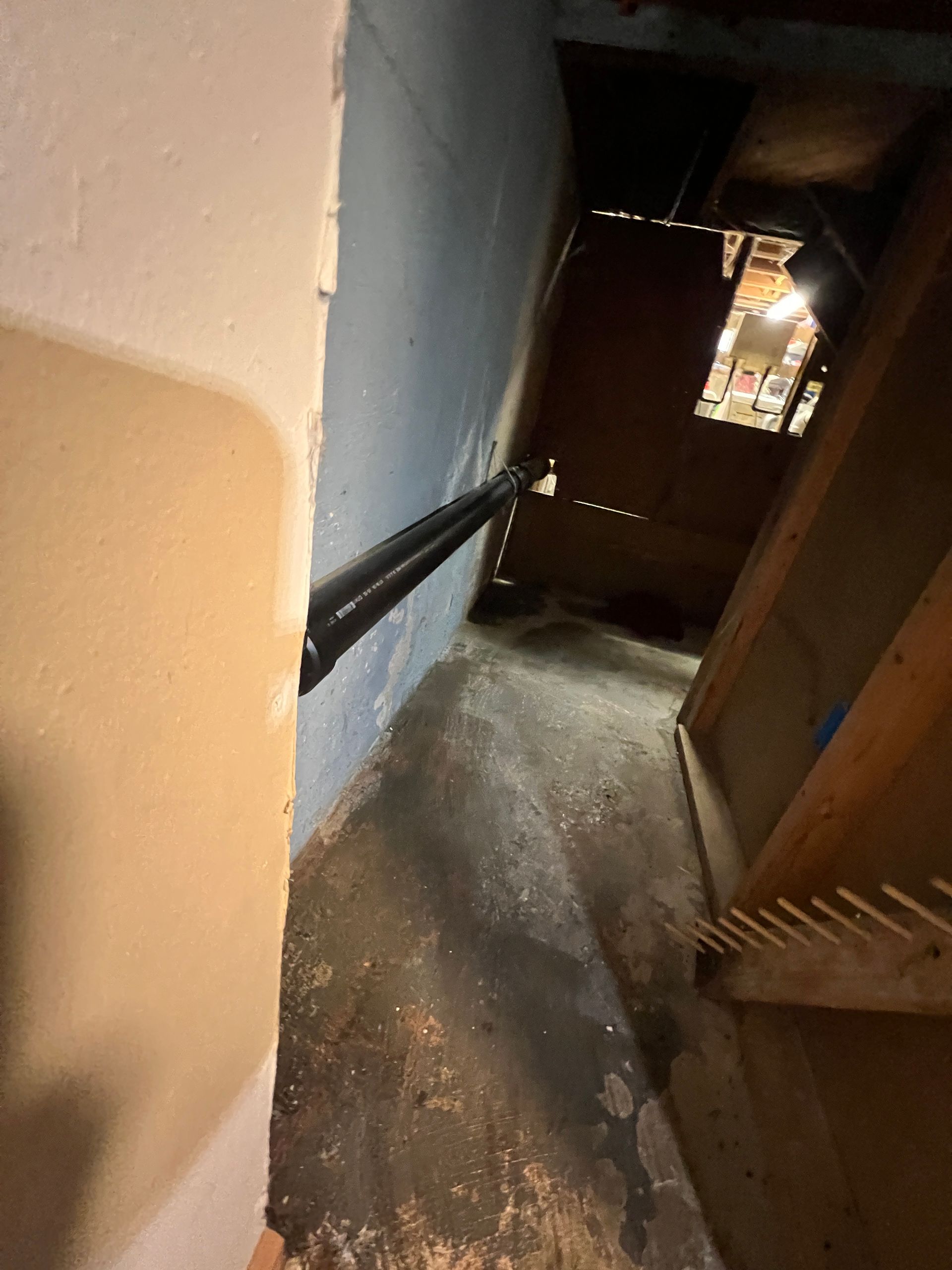Narrow, damp basement passageway; blue wall, electrical conduits, wood beams, and a concrete floor.