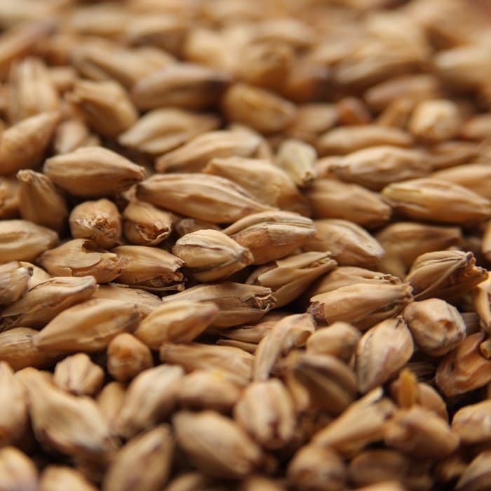 A close up of a pile of brown grains