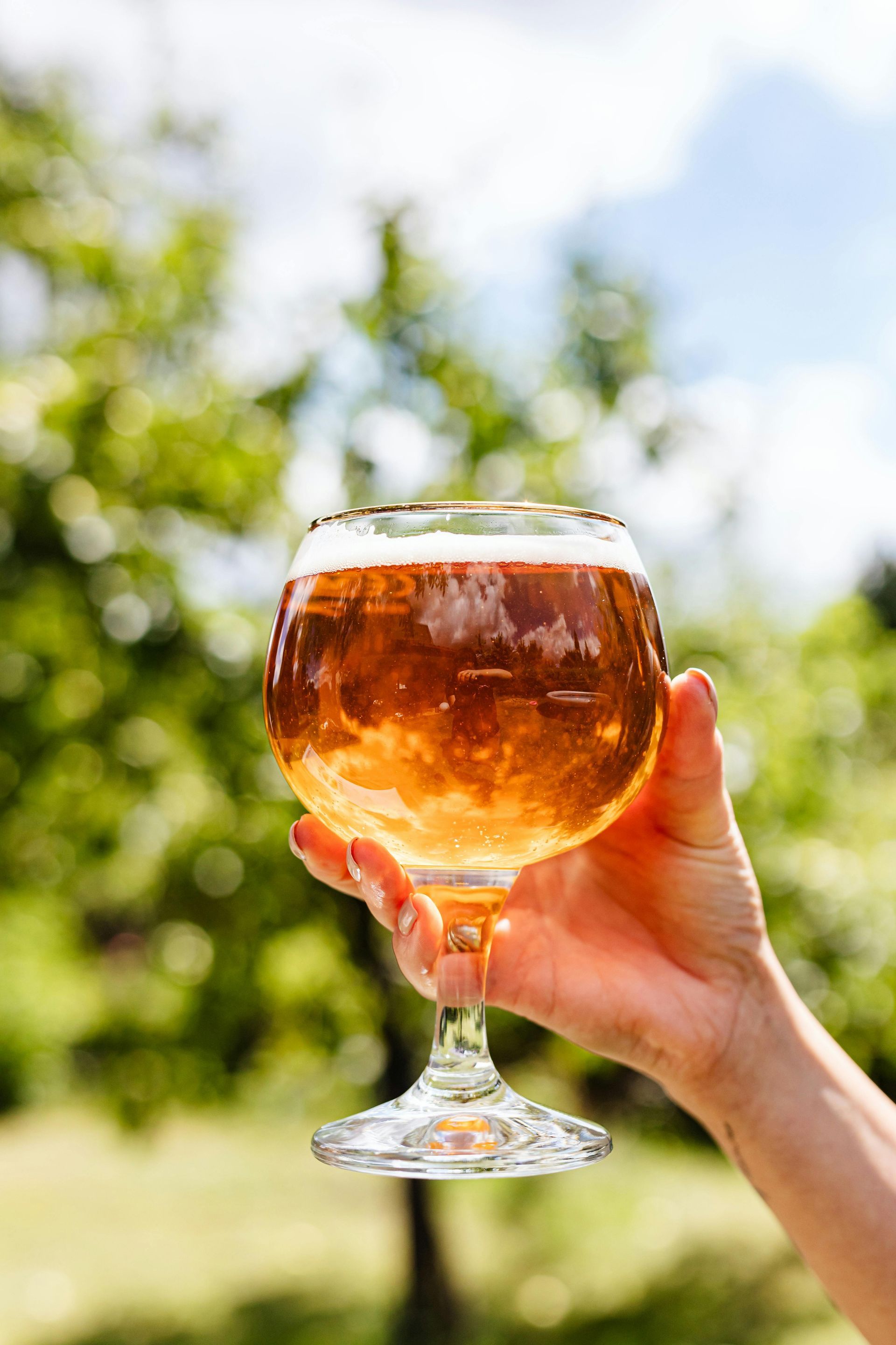 A person is holding a glass of beer in their hand.