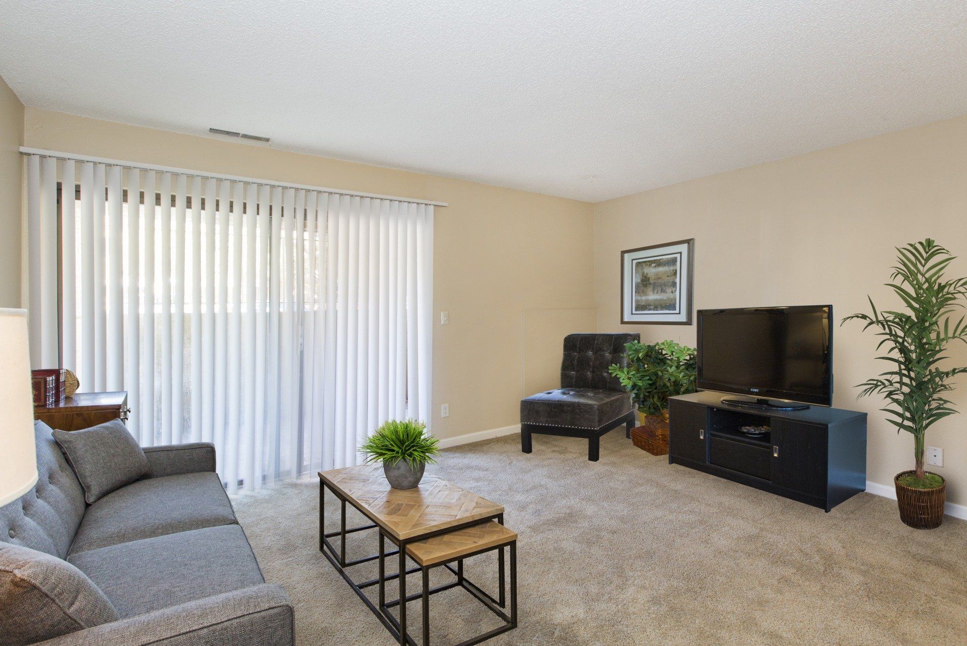 Citadel Village_CS_Fall2015_19