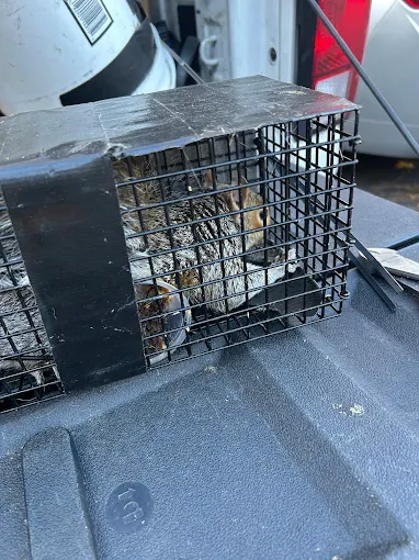 Woman in straw hat smiles, holding wine glass near a lake.