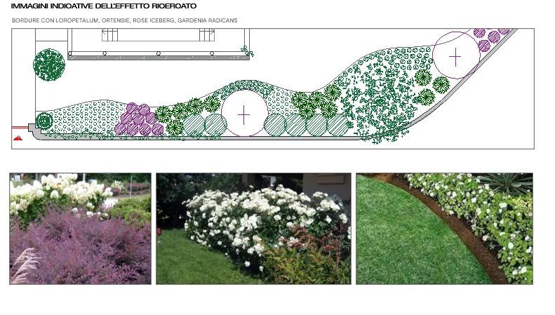 Progettazione giardino villa Verdi Essenze