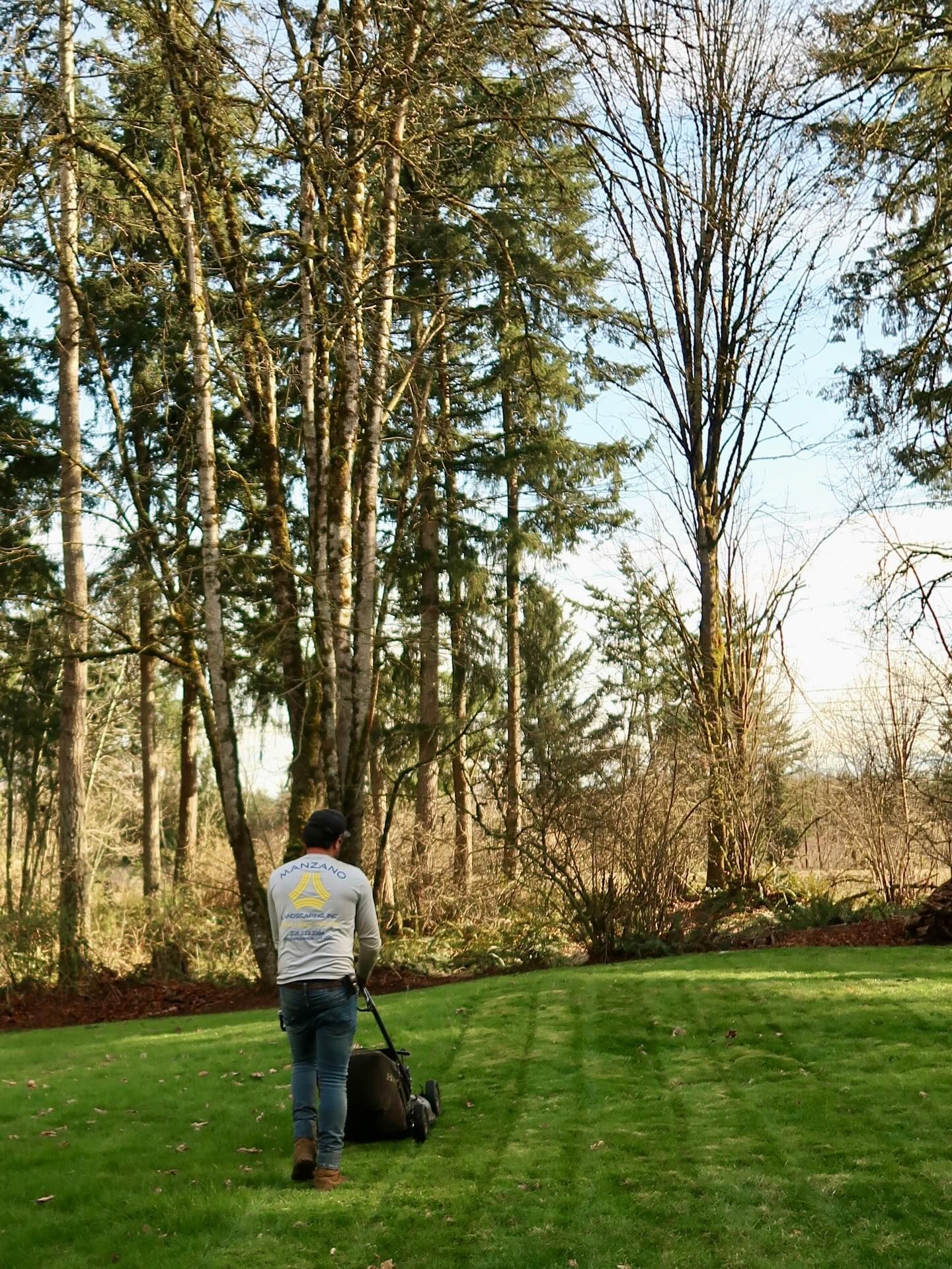 Person pushing a lawn mower on a green lawn beside tall trees on a sunny day