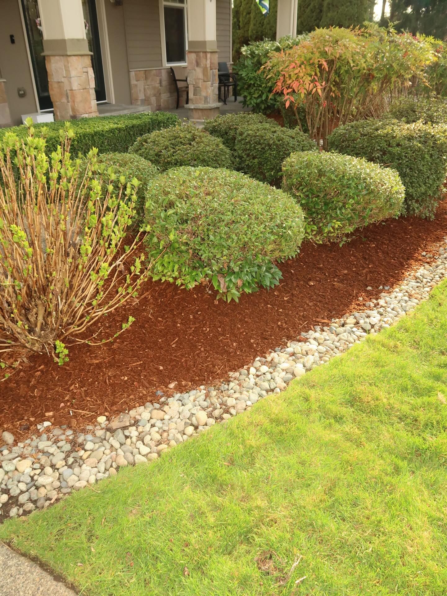 Front yard landscaping with trimmed shrubs, mulch, and a stone border beside a house.