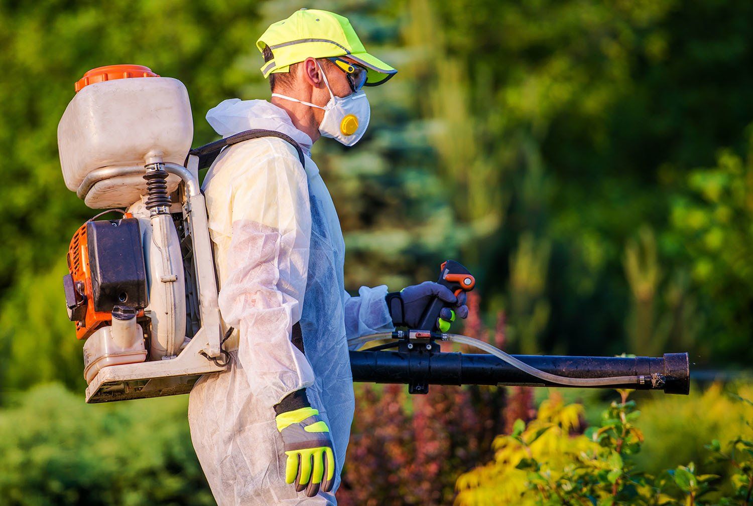 Spraying In Garden — McCarron’s Pest Control in Maclean NSW