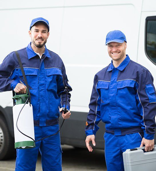 Two Male Pest Control Workers  — McCarron’s Pest Control in Maclean NSW