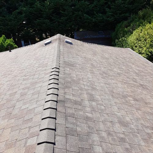 290 Local Roof Cleaners ideas - roof, roof cleaning, roofing