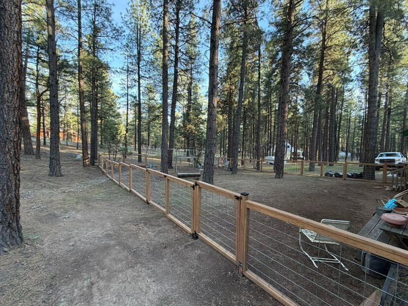 Wooded campsite with a wooden fence, tall pine trees, and scattered outdoor seating in the background