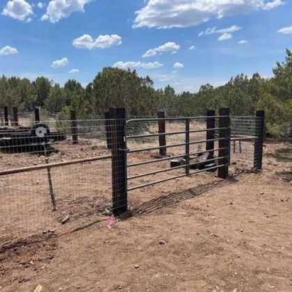 Black metal corral fence in a dry dirt clearing with trees and blue sky