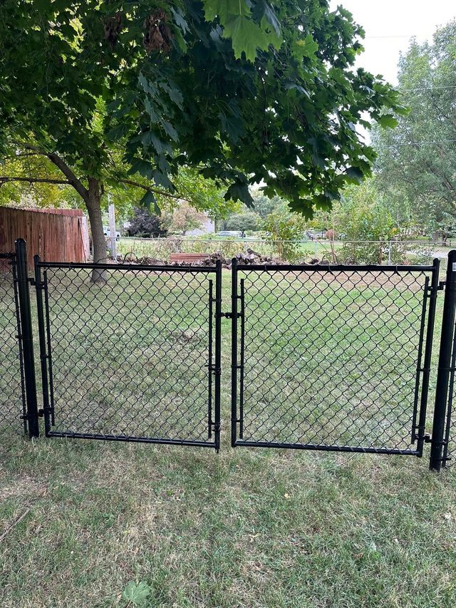 Black chain-link gate in a grassy backyard under a leafy tree.