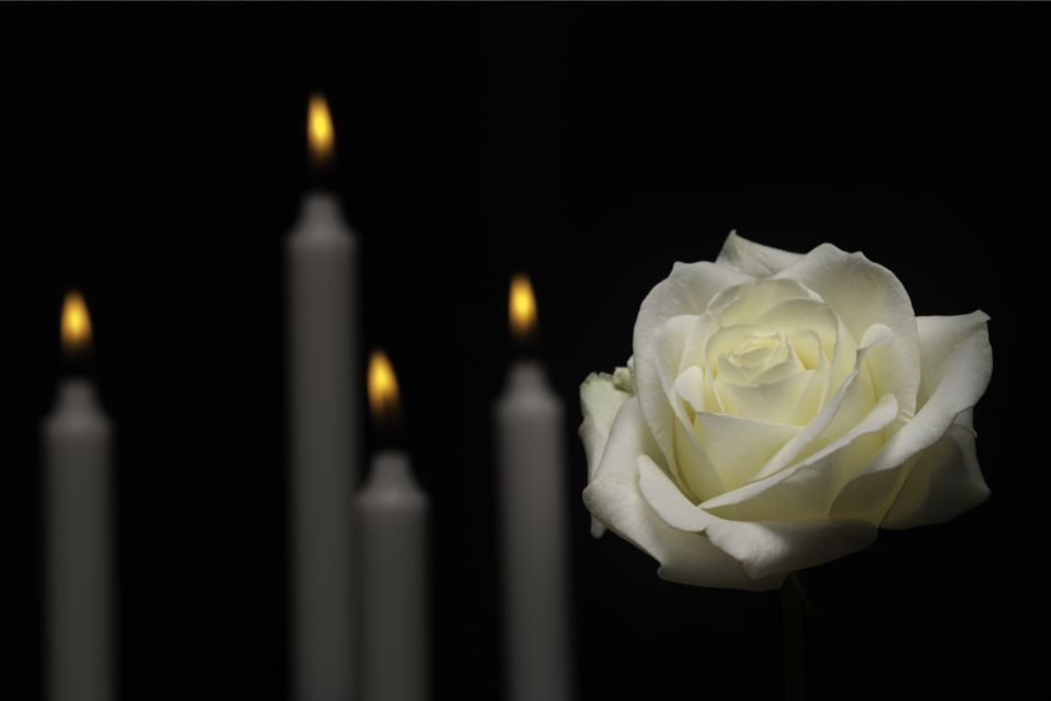 Rosa bianca con candele funebri