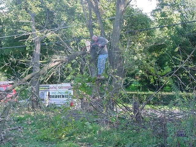 Cutting Branches — Allentown, PA — Hire A Husband, Inc.