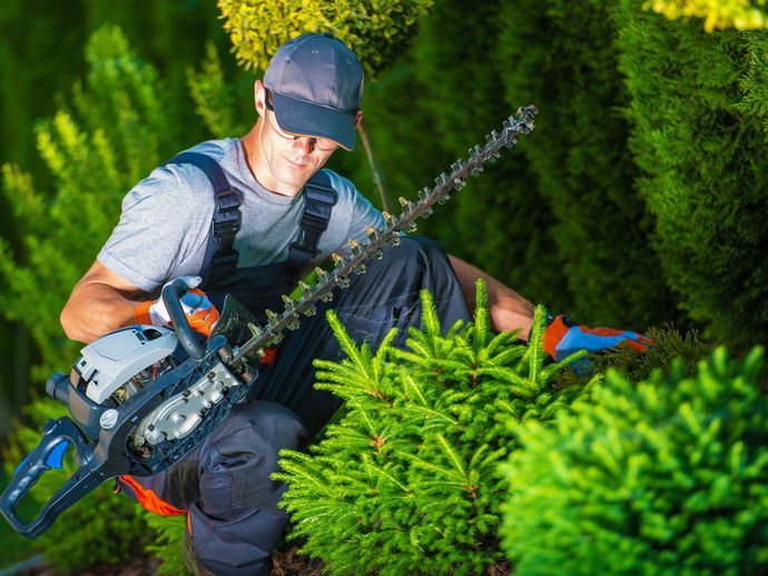 Tree Trimming — Allentown, PA — Hire A Husband, Inc.