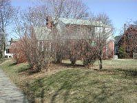 Before Fence Installation — Allentown, PA — Hire A Husband, Inc.