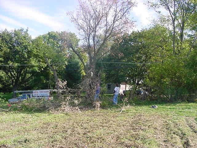 Trees Removal — Allentown, PA — Hire A Husband, Inc.