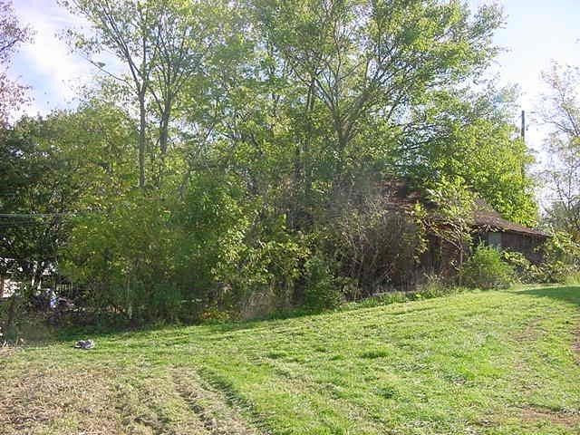 Trees — Allentown, PA — Hire A Husband, Inc.