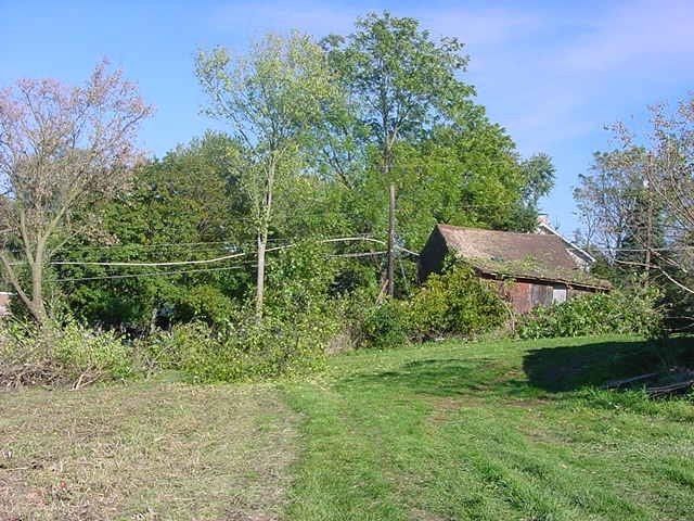 Cutting Small Trees — Allentown, PA — Hire A Husband, Inc.