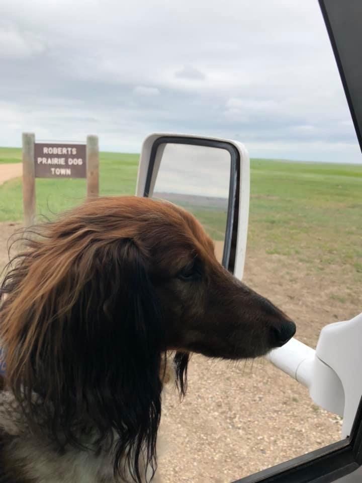 Jimmy Walker Auto & RV Sales Alexandria, LA Gallery