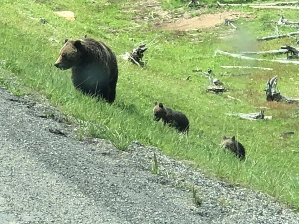 Jimmy Walker Auto & RV Sales Alexandria, LA Gallery