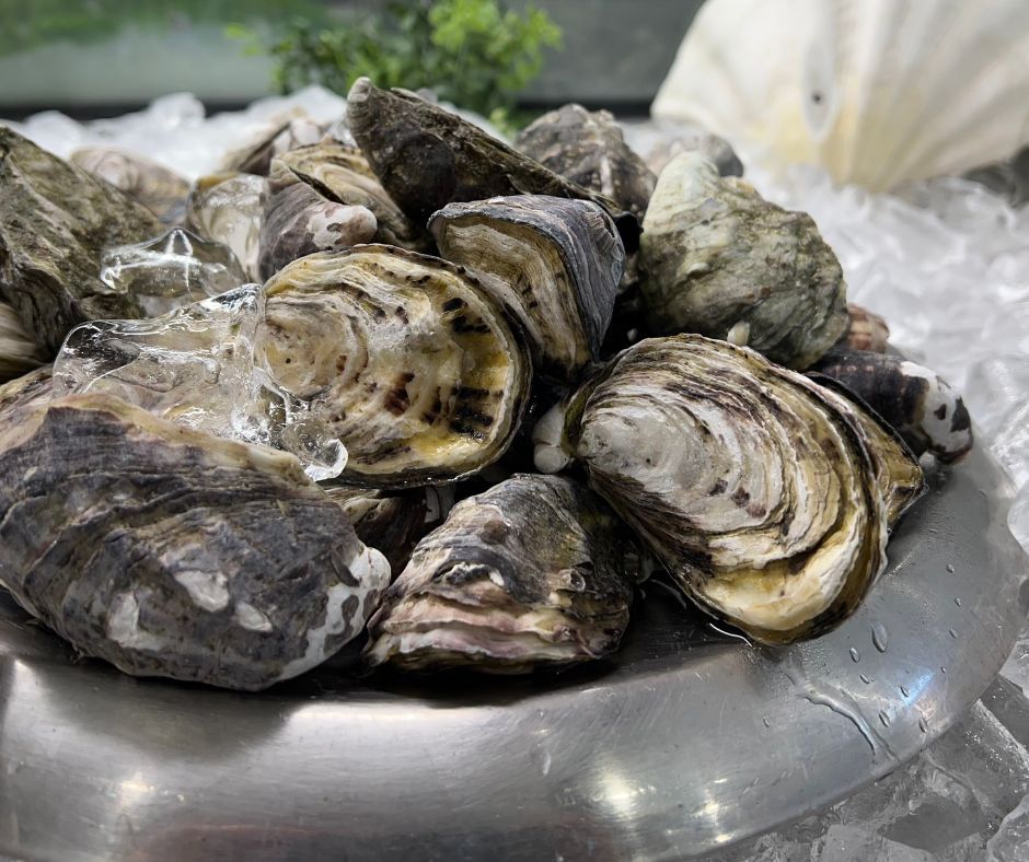 Pt Cartwright Seafoods Fresh Seafood in Warana