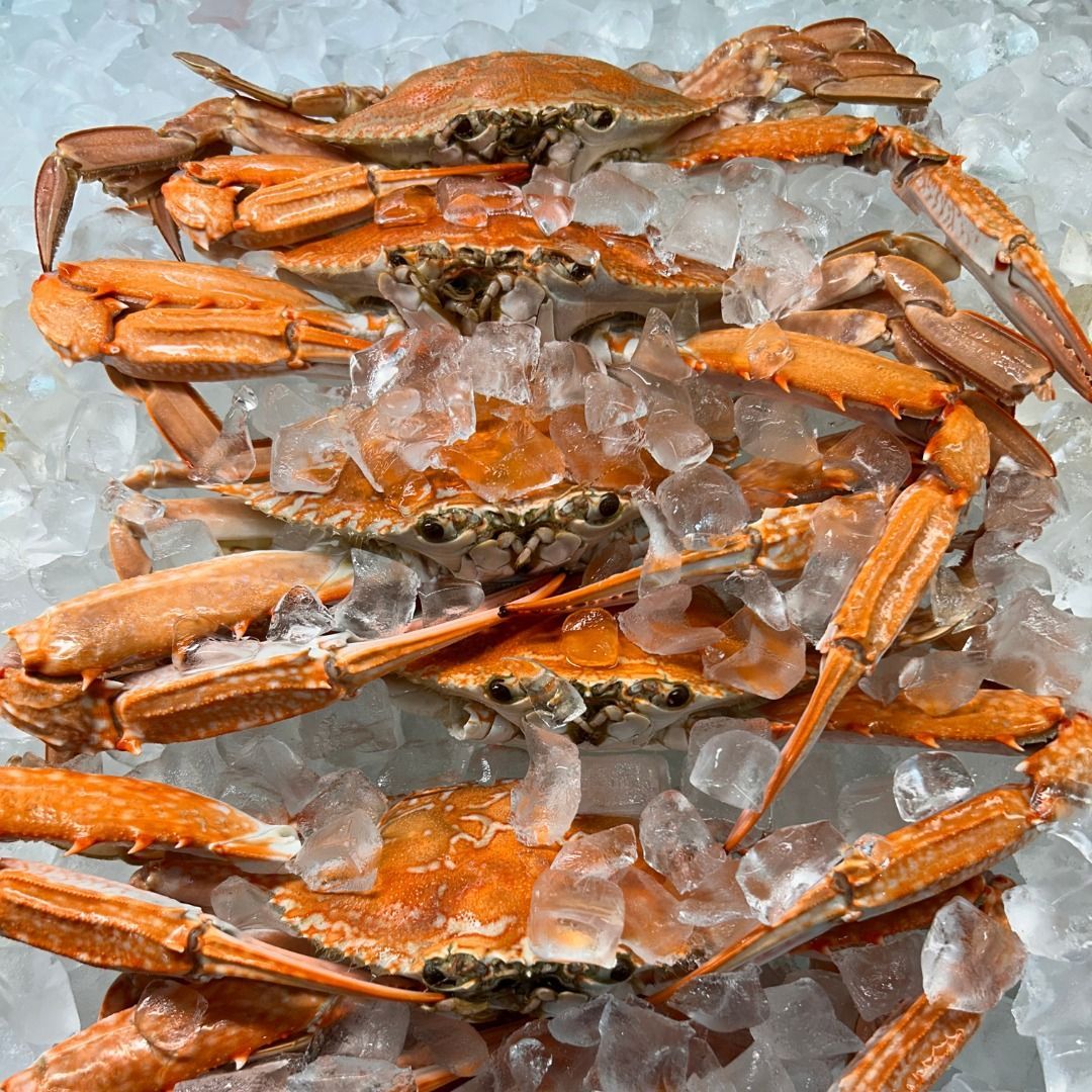 Calamari With Sauce — Fresh Seafood In Warana, QLD