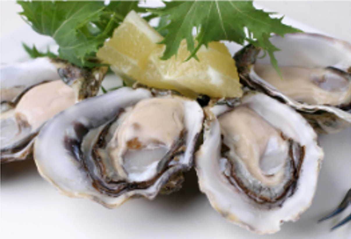 Oysters — Fresh Seafood In Warana, QLD