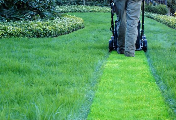 An image of Lawn Maintenance in Cupertino CA 