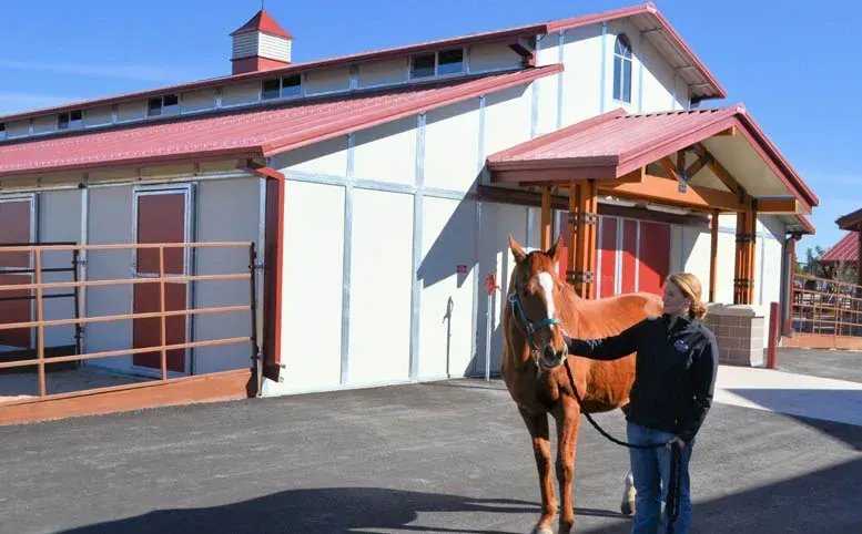 A man petting a horse in front of a barn