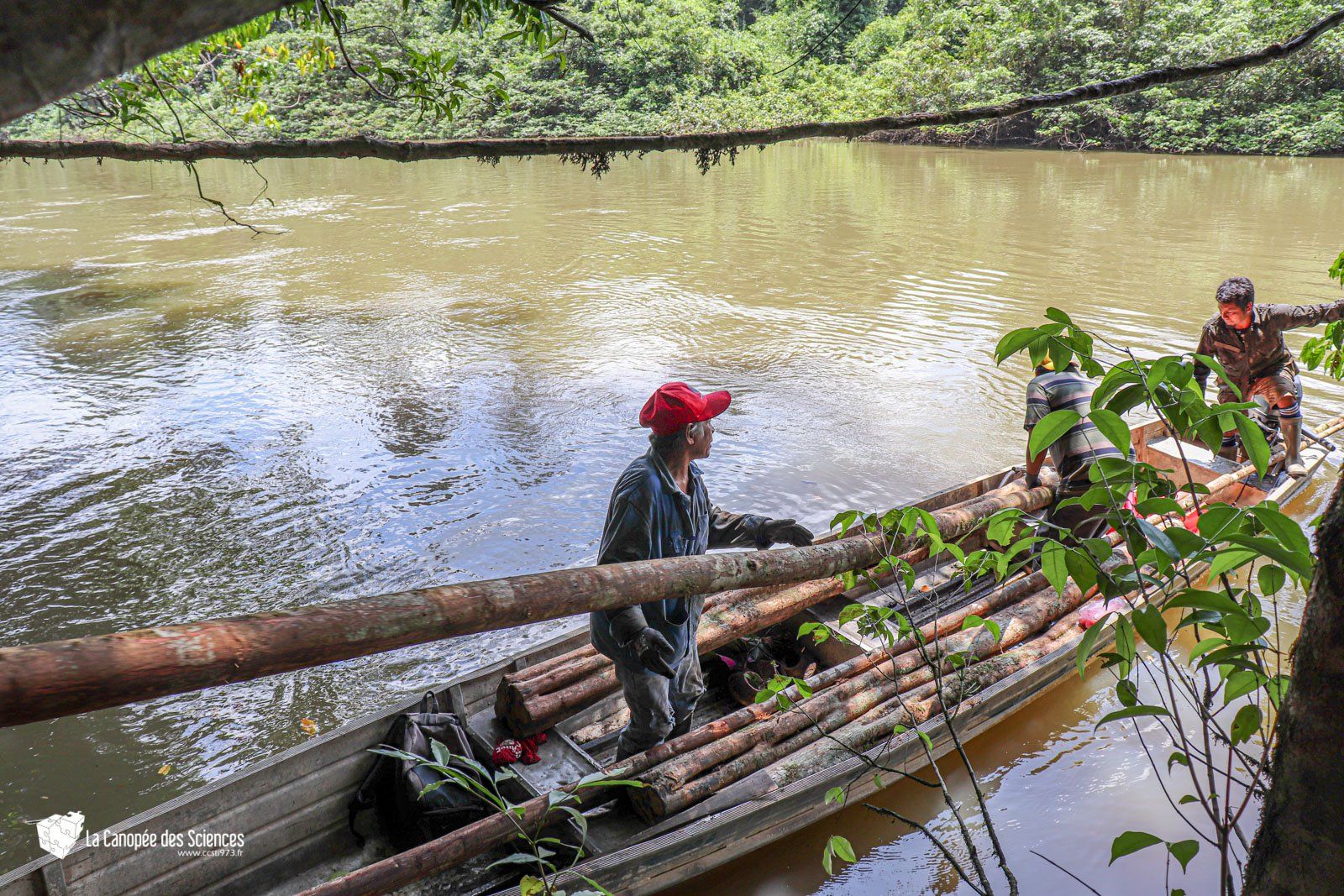 Un homme transporte des bûches dans un bateau sur une rivière.