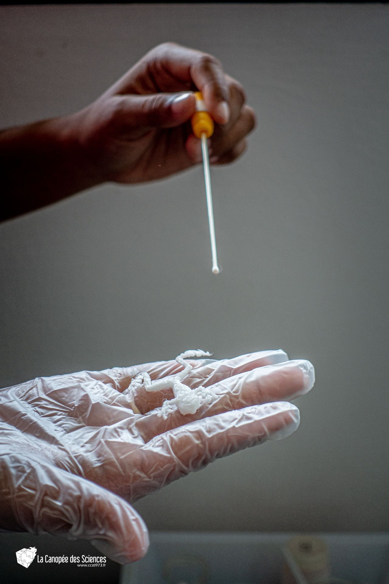 Une personne portant des gants tient une pipette dans sa main.