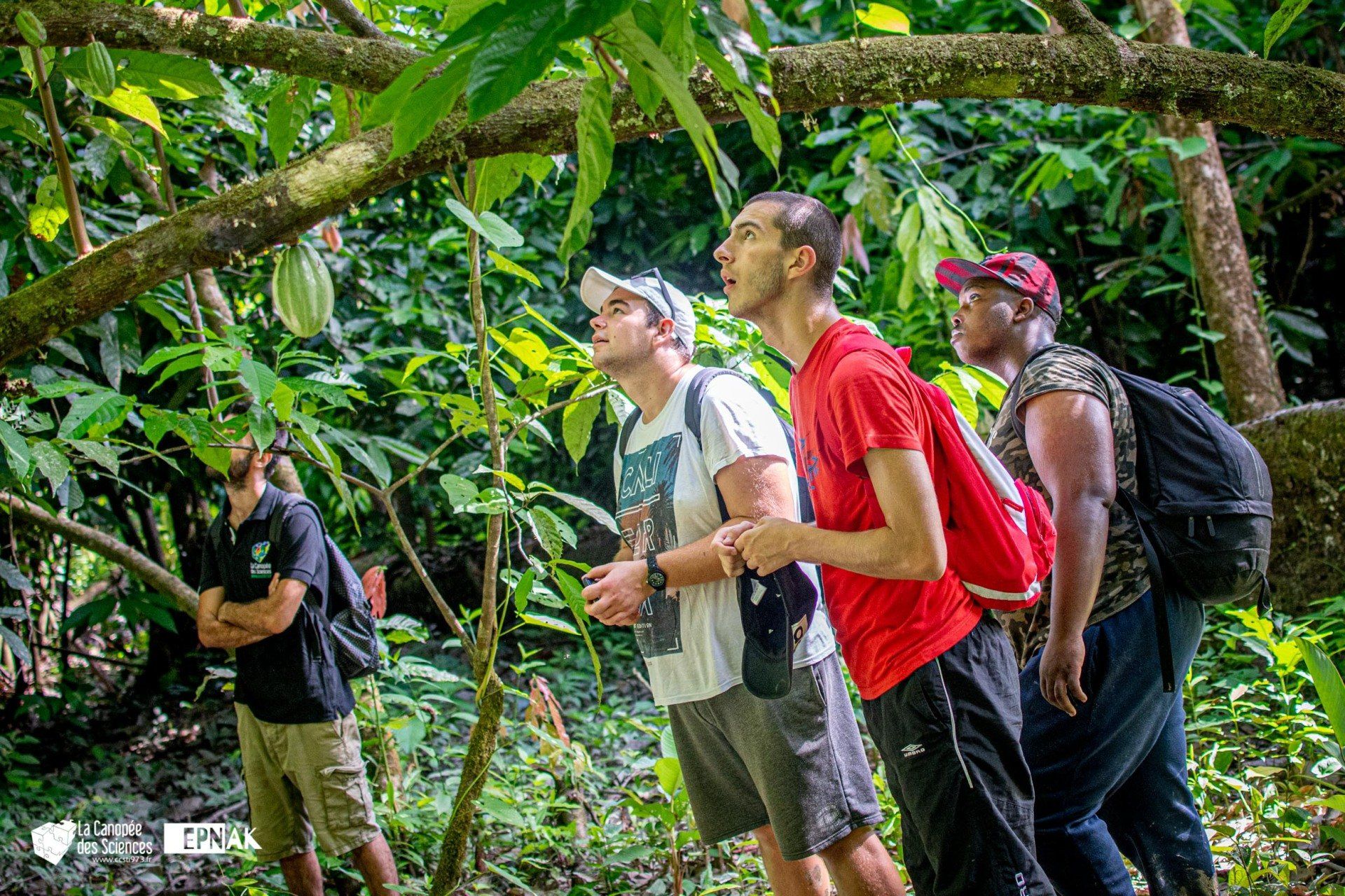 Un groupe de jeunes hommes se tient dans les bois et regarde les arbres.