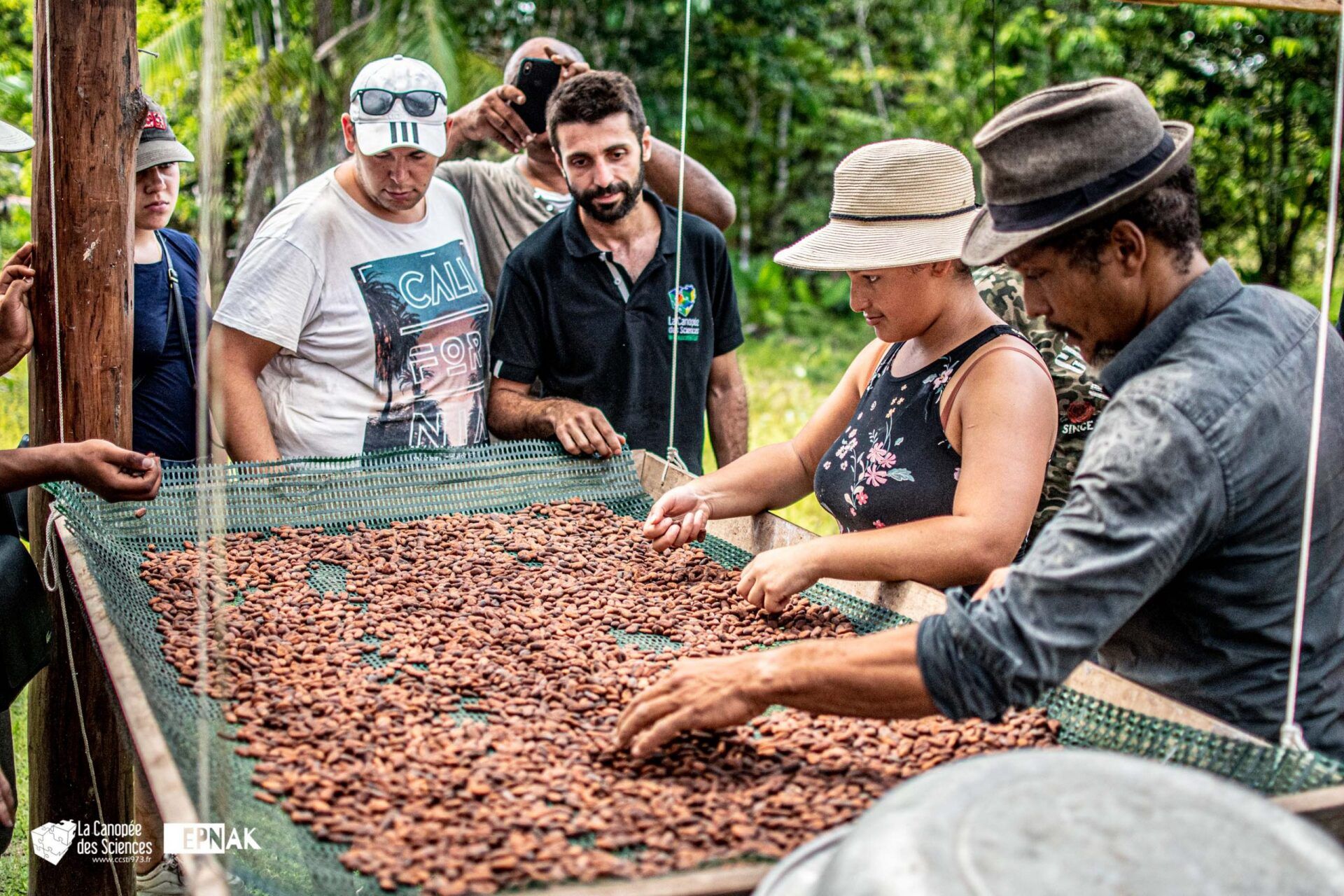 Un groupe de personnes se tient autour d'une table avec des fèves de cacao dessus.