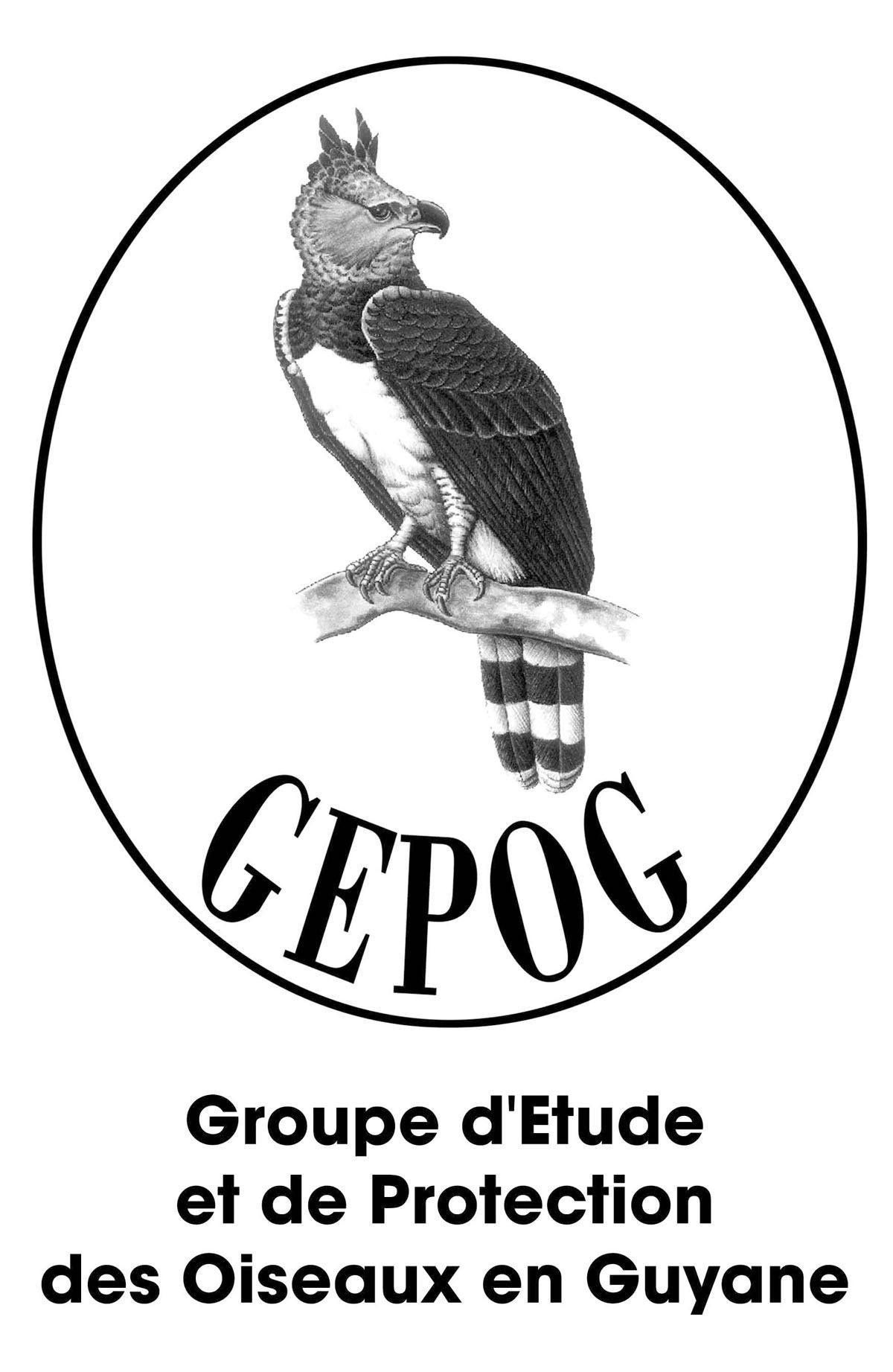 A black and white logo for groupe d ' etude et de protection des oiseaux en guyane