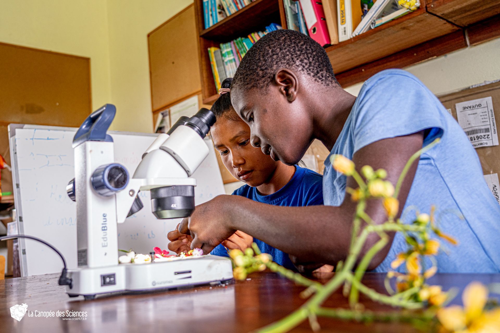 Deux enfants regardent à travers un microscope dans un laboratoire.