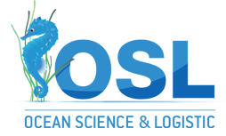 Un logo pour les sciences océaniques et la logistique avec un hippocampe