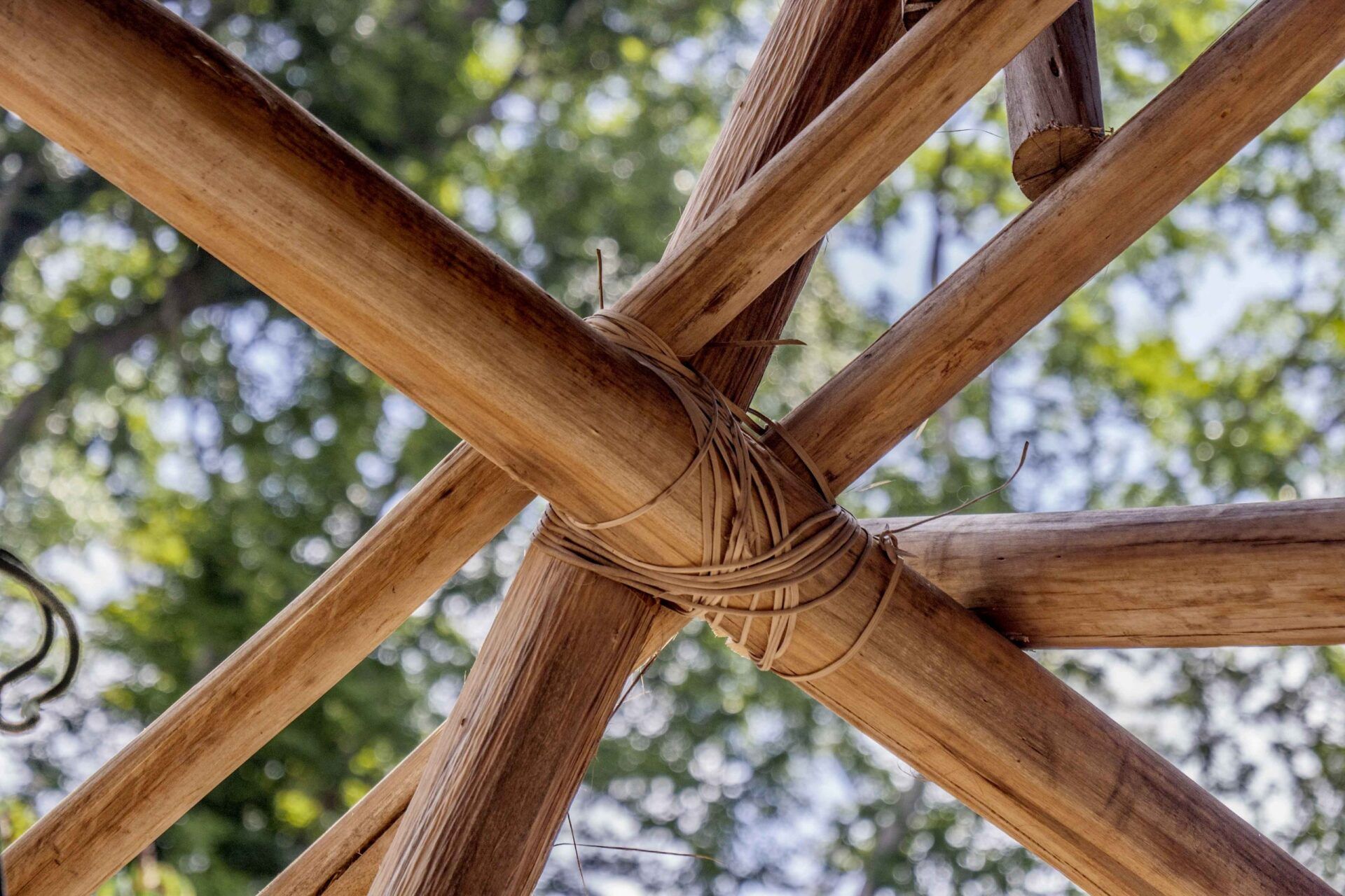 Un gros plan d'une structure en bois avec des arbres en arrière-plan.