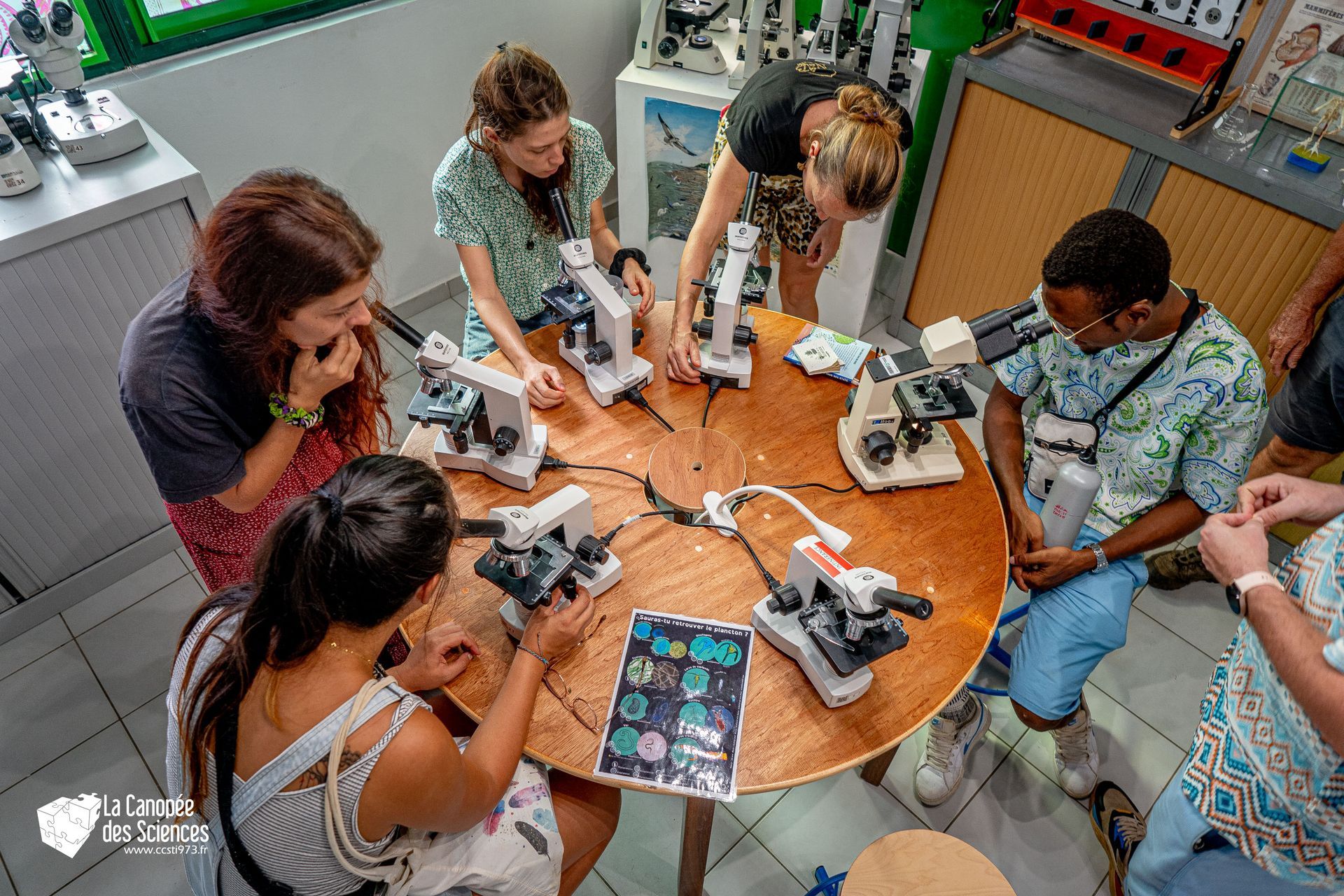 Un groupe de personnes sont assises autour d'une table et regardent au microscope.