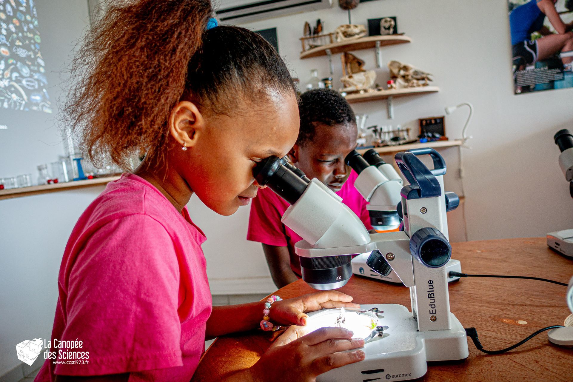 Deux jeunes filles regardent à travers des microscopes dans un laboratoire.