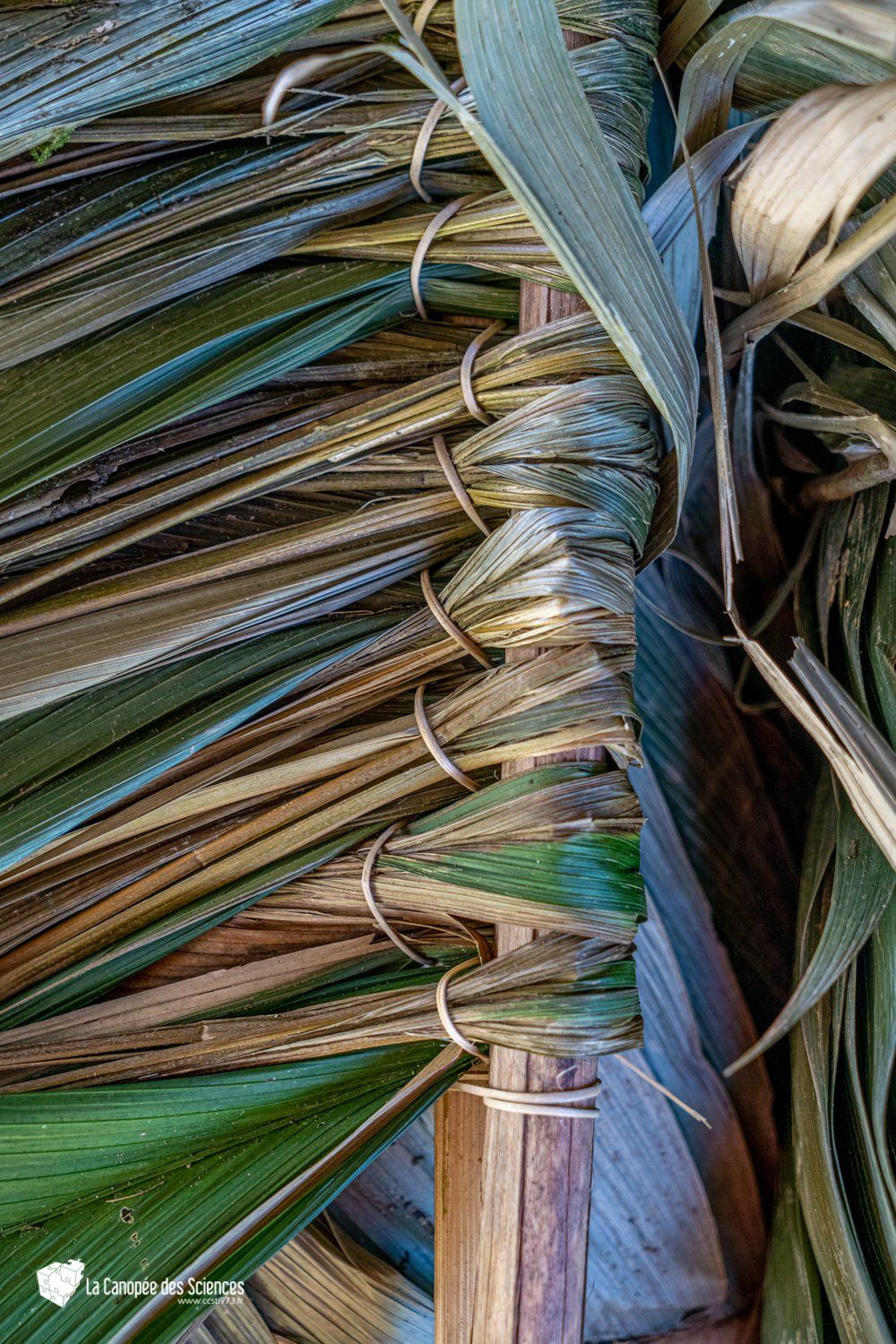 Un gros plan d'un tas de paille posé sur une table en bois.