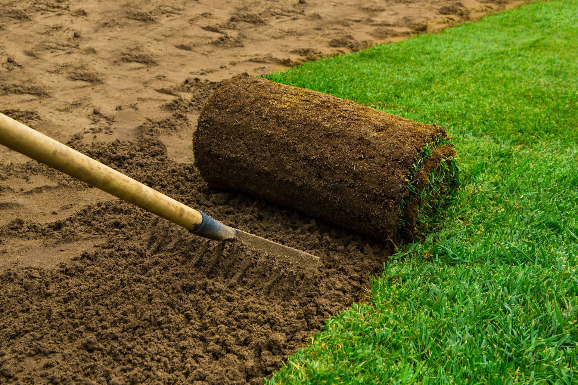 A rake is laying on top of a roll of sod.