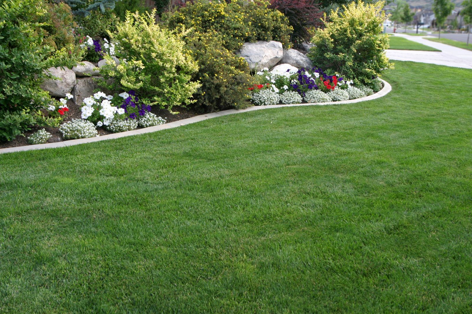 Lush green lawn borders a landscaped garden with colorful flowers and shrubs.