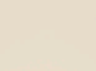 A close up of a white background with a plain texture.