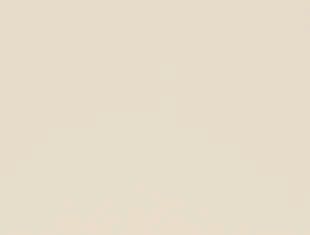 A close up of a white background with a plain texture.