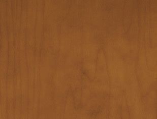 A close up of a piece of wood showing the grain and texture.