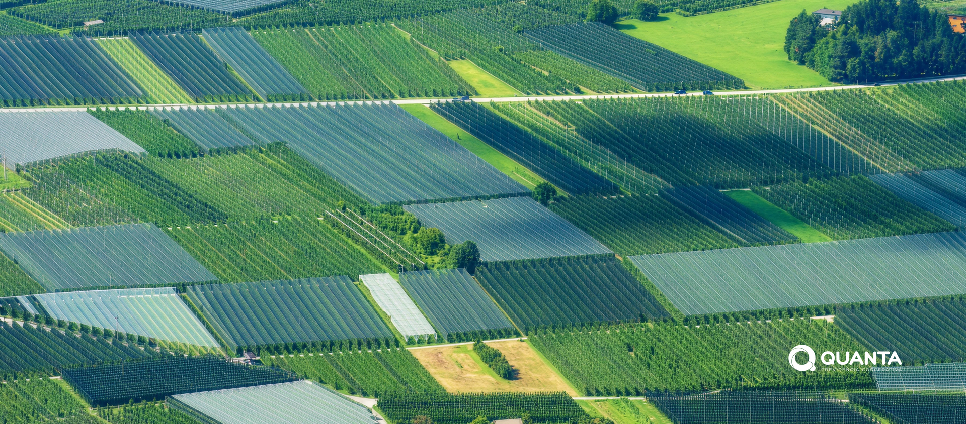 ESG e Sustentabilidade