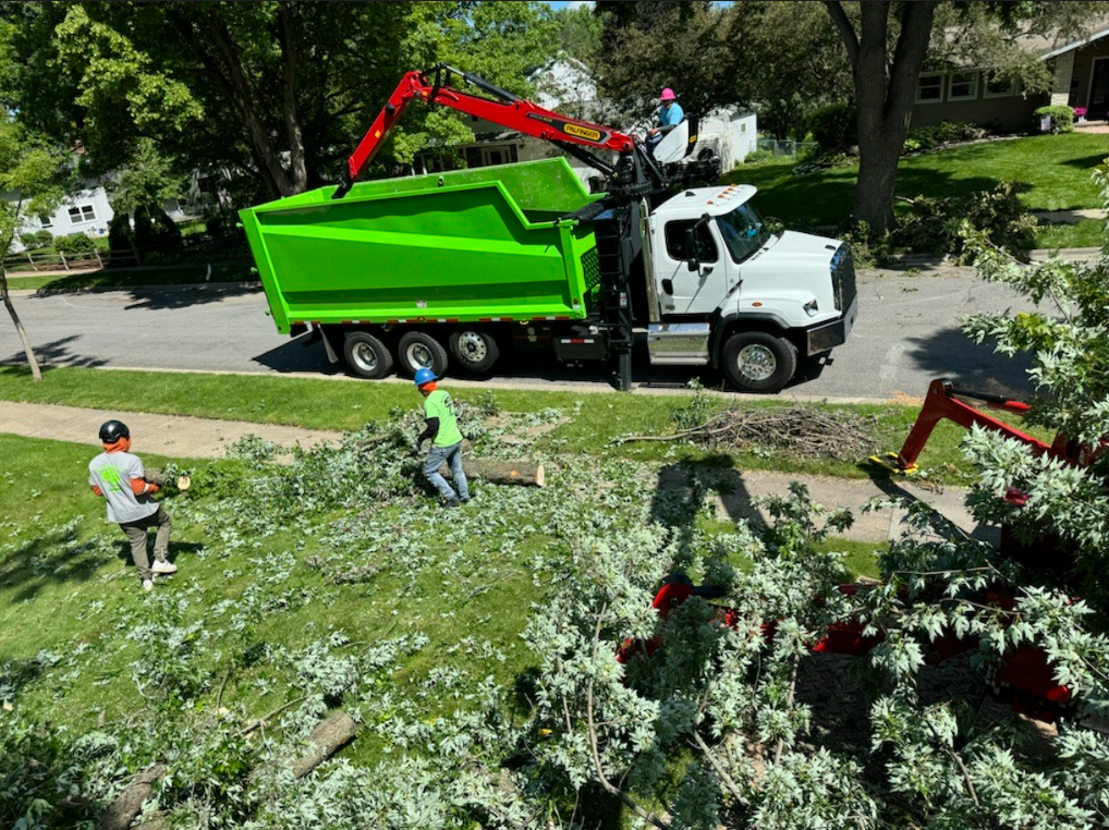 A green dump truck is driving down a street next to a tree.