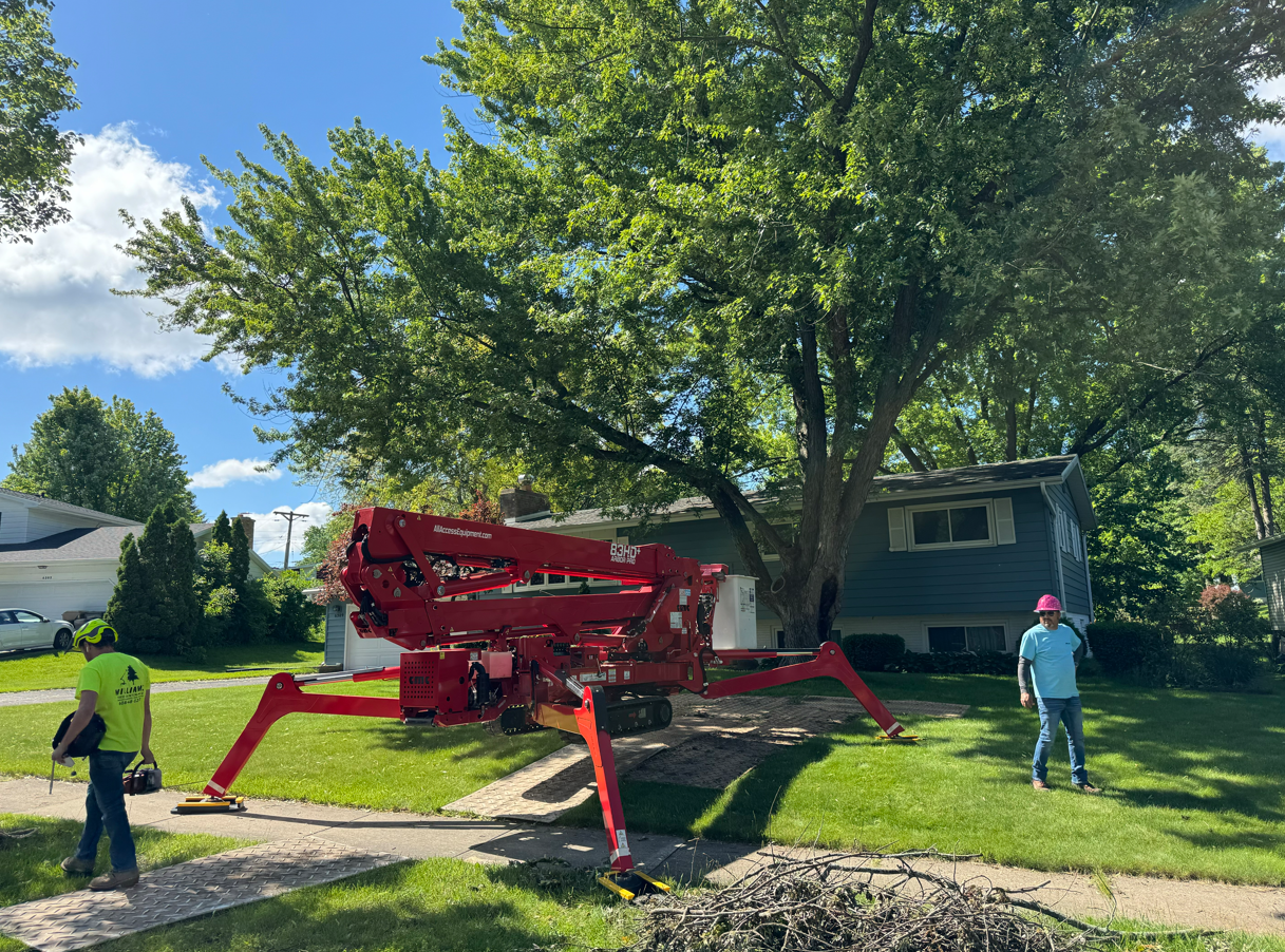 A red crane is cutting a tree in front of a house.