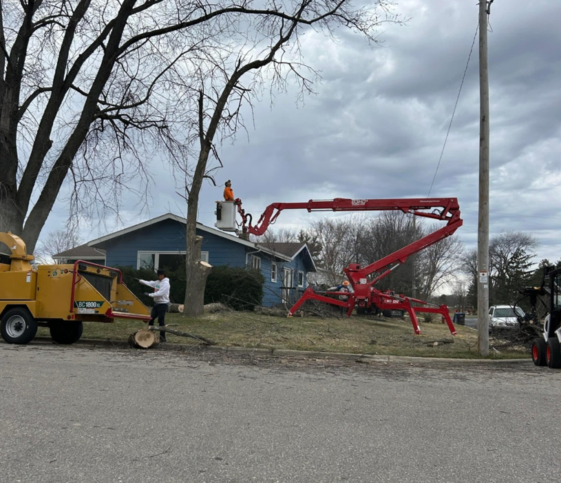 A man on a crane is cutting a tree in front of a house.