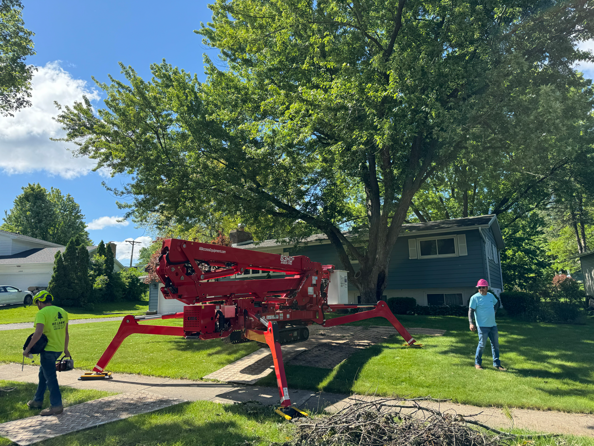 A red crane is cutting a tree in front of a house.