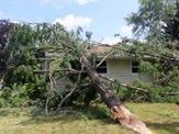 Fallen Tree In Front Of House — Baraboo, WI — Williams Tree Maintenance
